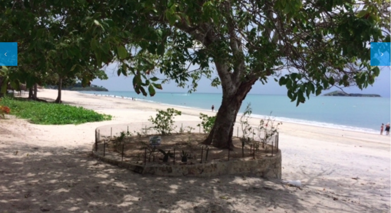PH Miramar,4 Bedrooms Bedrooms,5 BathroomsBathrooms,Apartment,1334