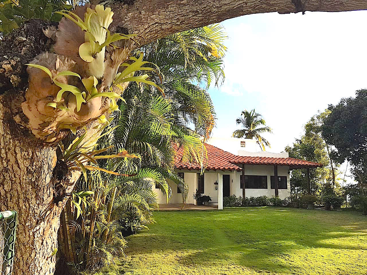 Other,4 Rooms Rooms,5 BathroomsBathrooms,House,1344