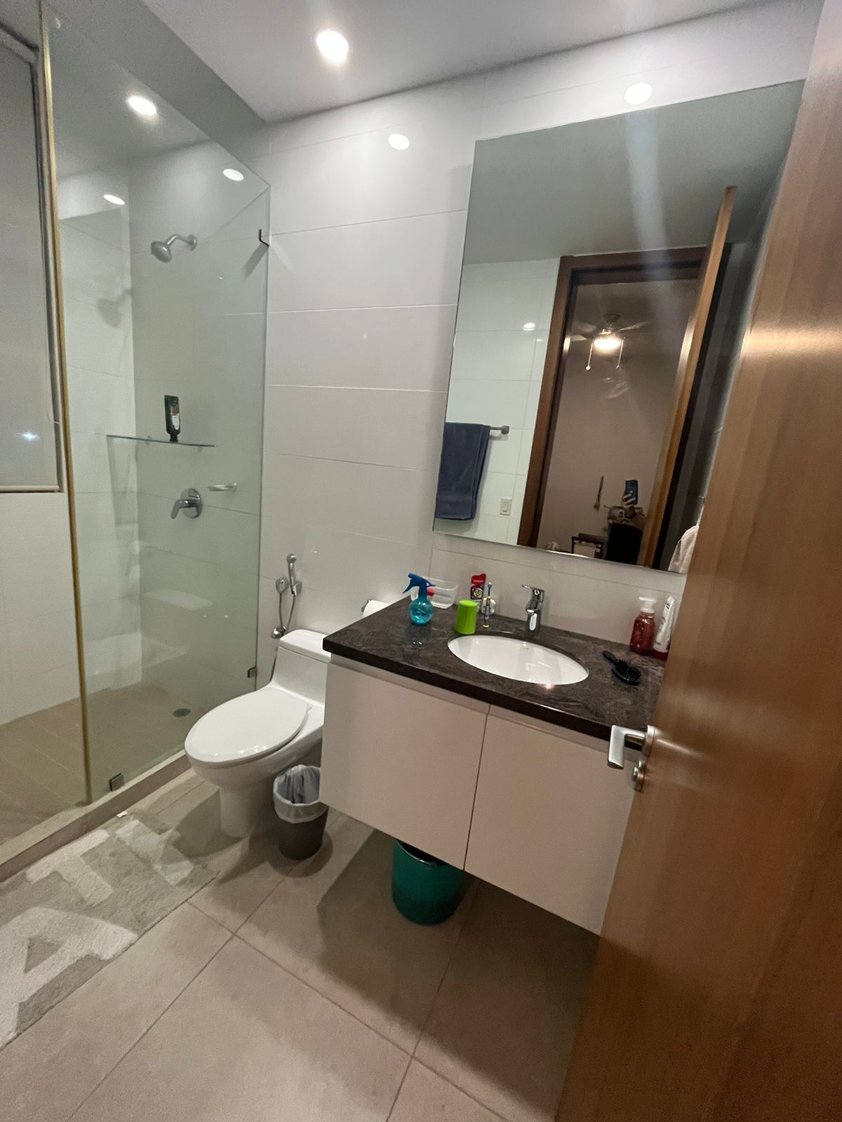 4 Bedrooms Bedrooms, ,4 BathroomsBathrooms,Apartment,RENT/ALQUILER,1724