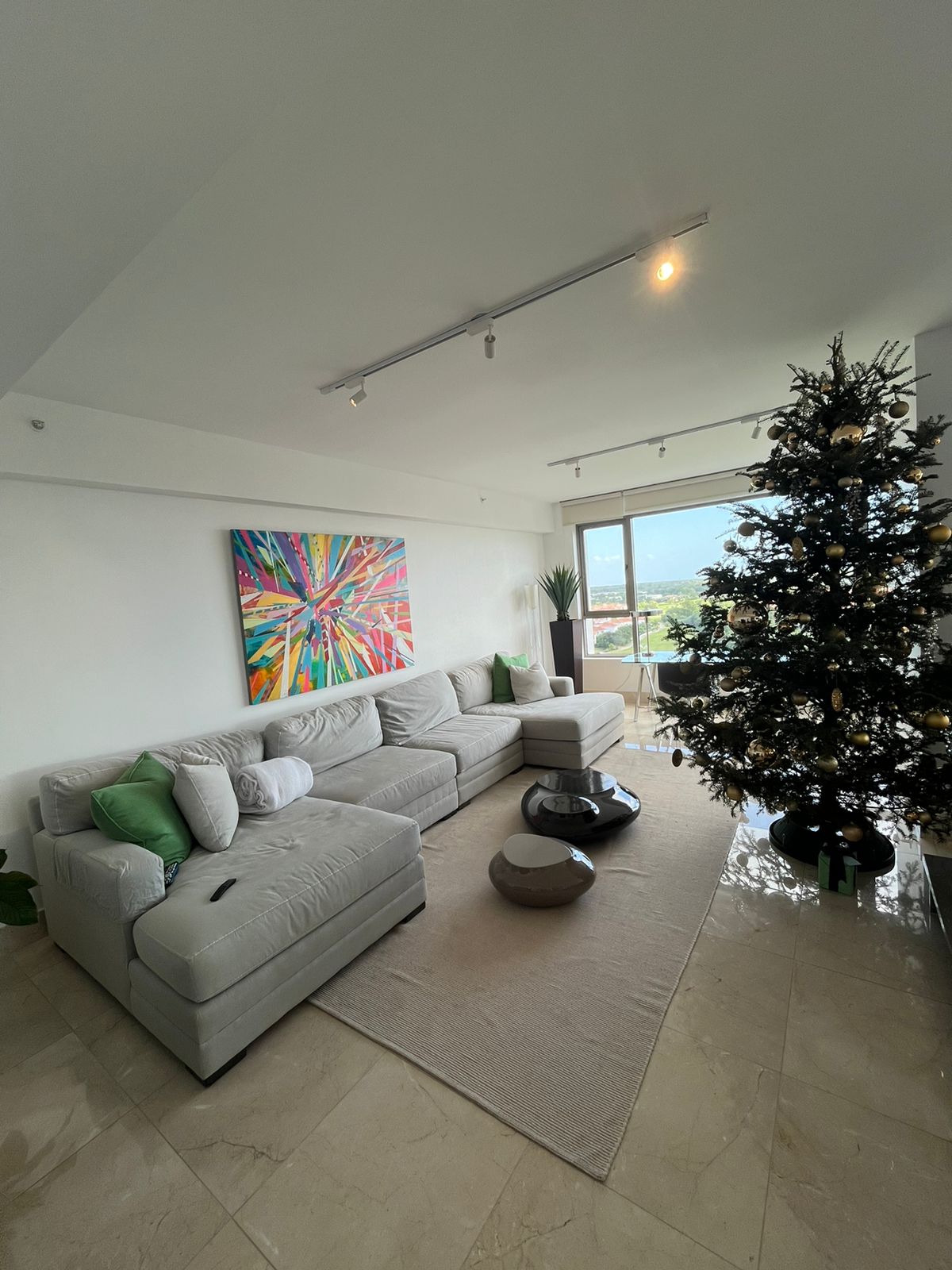 Green Garden Santa Maria Panama, 3 Bedrooms Bedrooms, ,3 BathroomsBathrooms,Apartment,SALE/VENTA,Green Garden Santa Maria Panama,1834