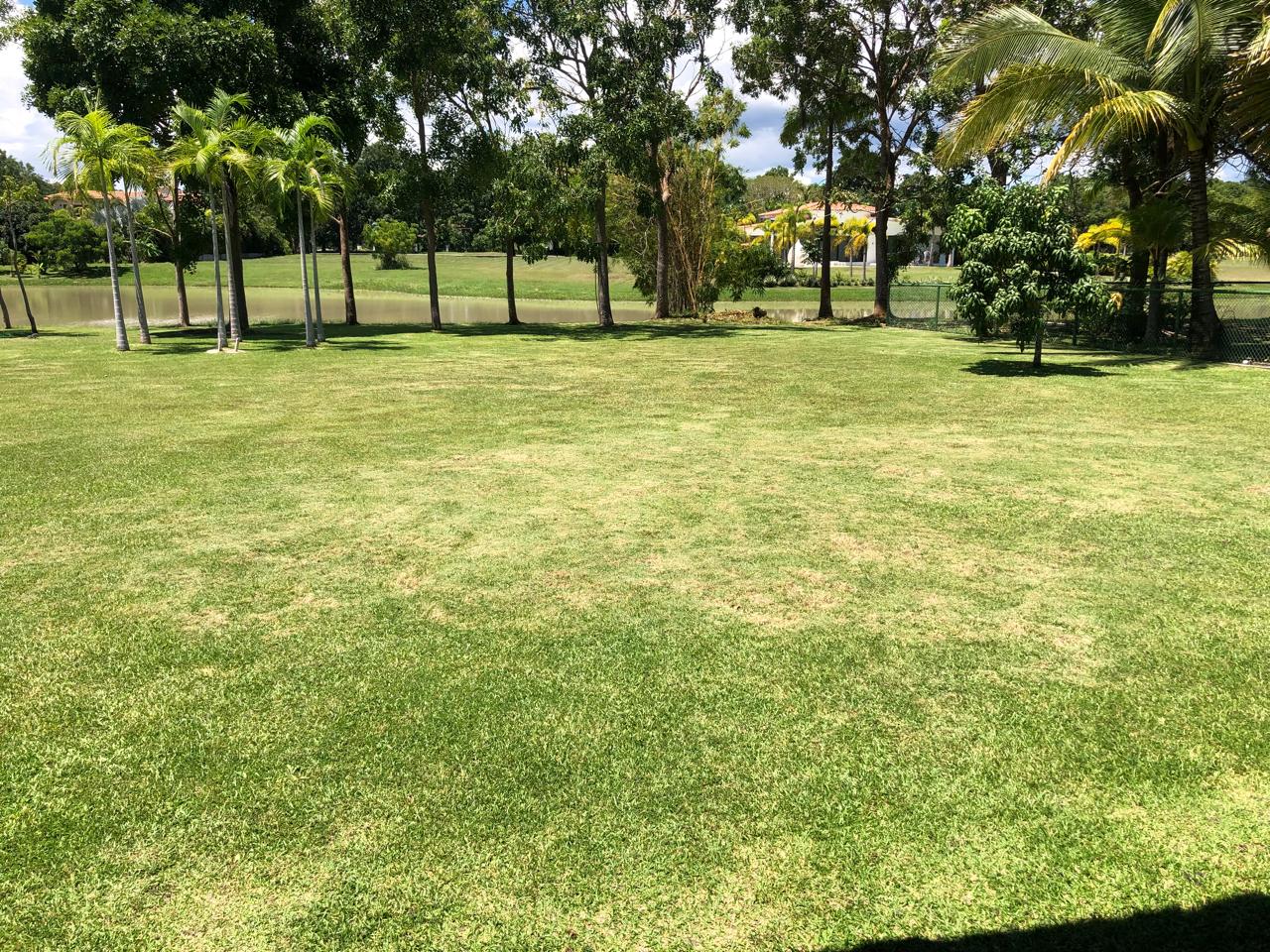 Portales Buenaventura, 3 Rooms Rooms,3 BathroomsBathrooms,House,SALE/RENTAL,Portales Buenaventura ,1891