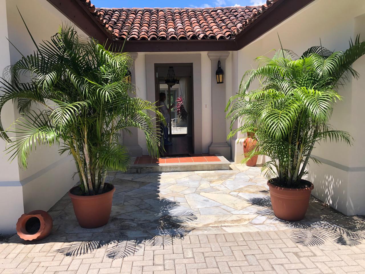 Portales Buenaventura, 3 Rooms Rooms,3 BathroomsBathrooms,House,SALE/RENTAL,Portales Buenaventura ,1891